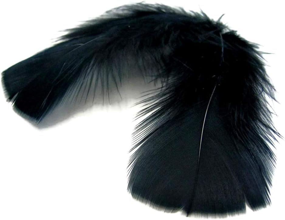 1/4 lbs. - Black Turkey T-Base Wholesale Body Plumage Feathers (Bulk)