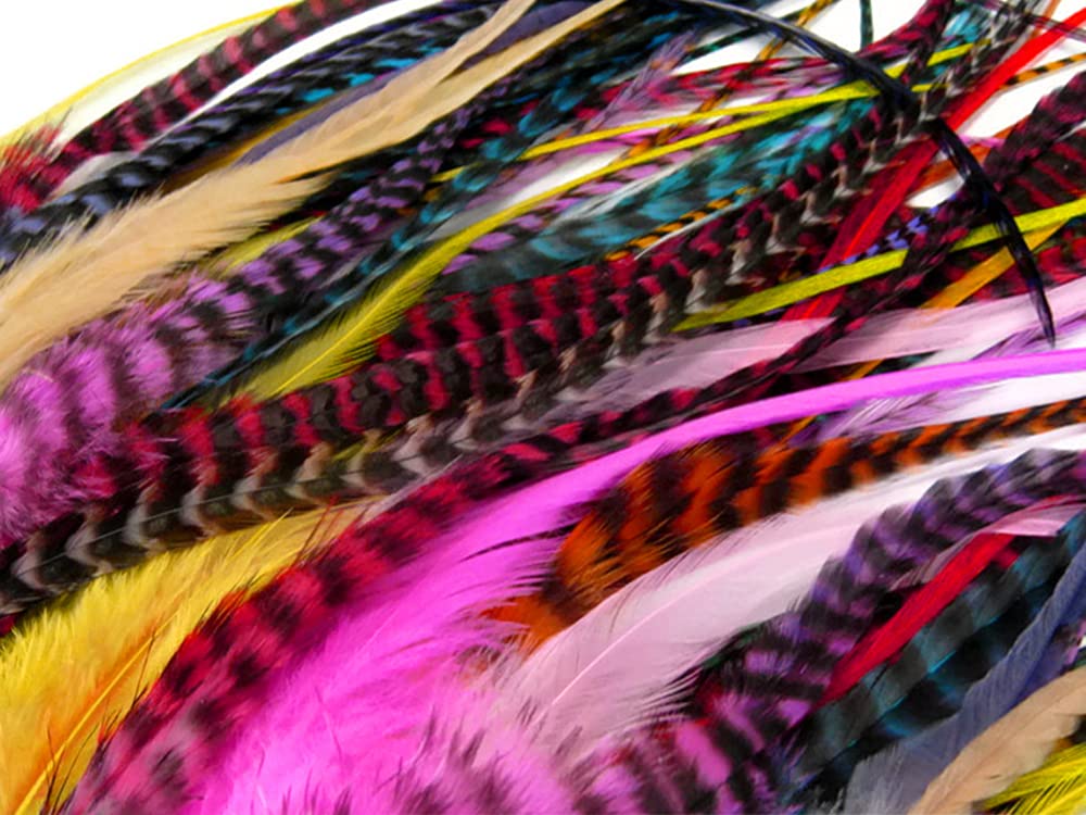 50 Pieces - Colorful Thick Long Rooster Saddle Whiting Farm Hair Extension Wholesale Feathers (Bulk)