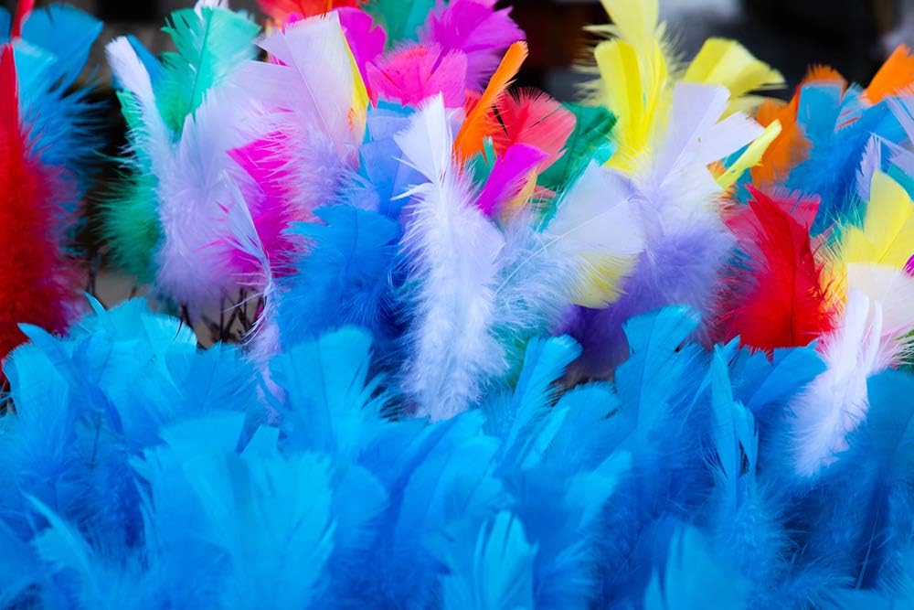 1 Pack - Turquoise Blue Turkey T-Base Plumage Feathers 0.50 Oz.