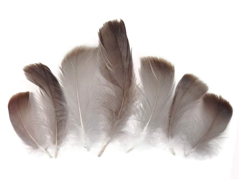 1 Pack - 2-3" Brown Goose Coquille Loose Feathers - 0.35 Oz.