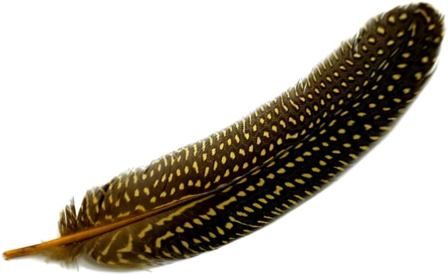 10 Pieces - Dyed Yellow Polka Dot Guinea Fowl Wing Quill Feathers