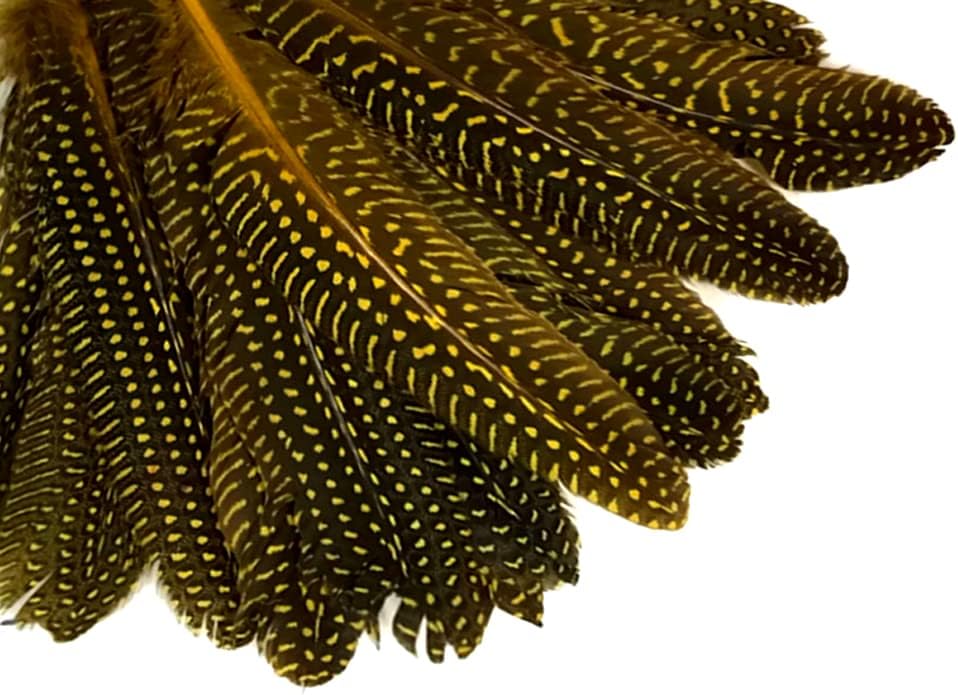 1/8 lb. Yellow Polka Dot Guinea Fowl Wing Quills Wholesale Feathers (Bulk)