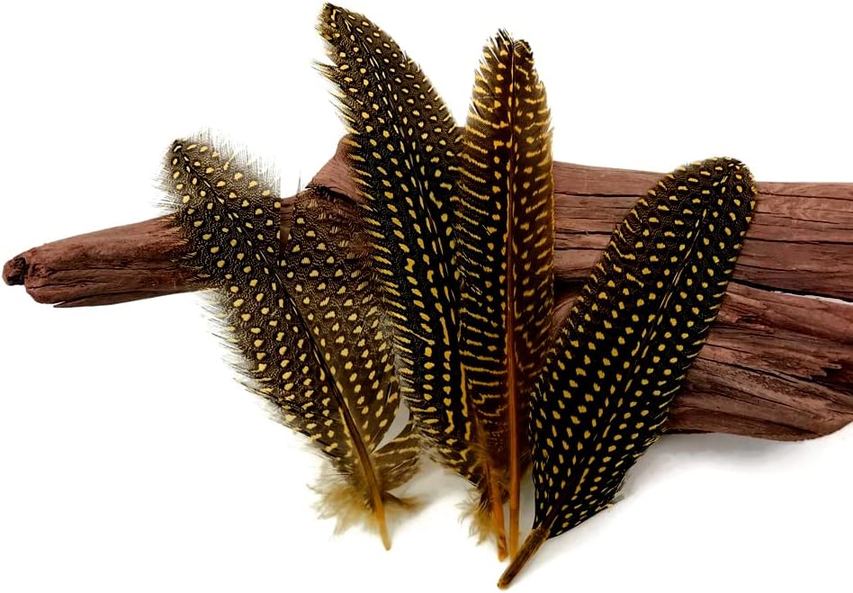 1/8 lb. Yellow Polka Dot Guinea Fowl Wing Quills Wholesale Feathers (Bulk)