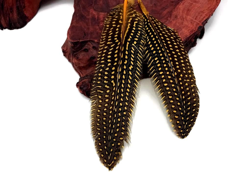 1/8 lb. Yellow Polka Dot Guinea Fowl Wing Quills Wholesale Feathers (Bulk)