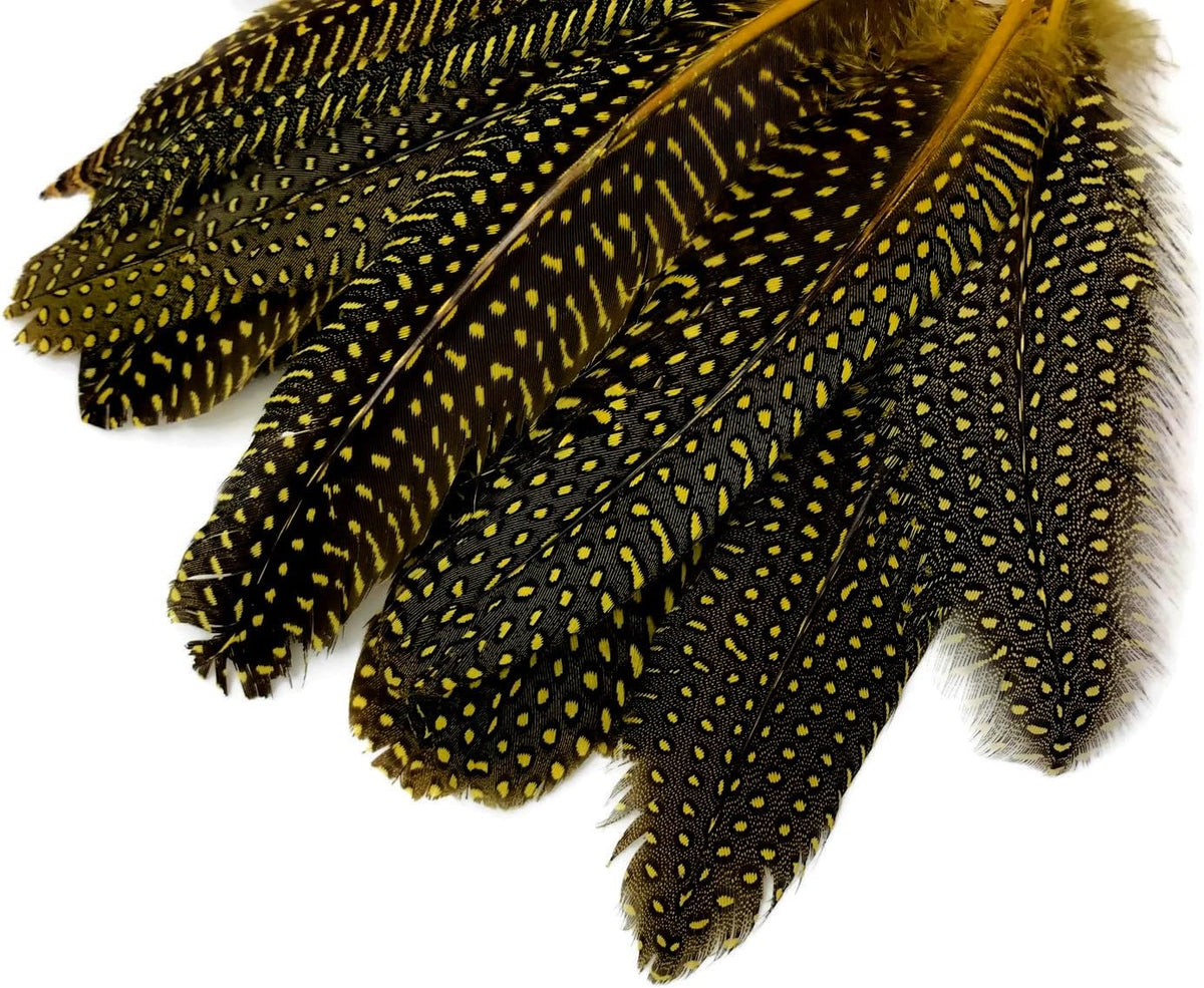 1/8 lb. Yellow Polka Dot Guinea Fowl Wing Quills Wholesale Feathers (Bulk)