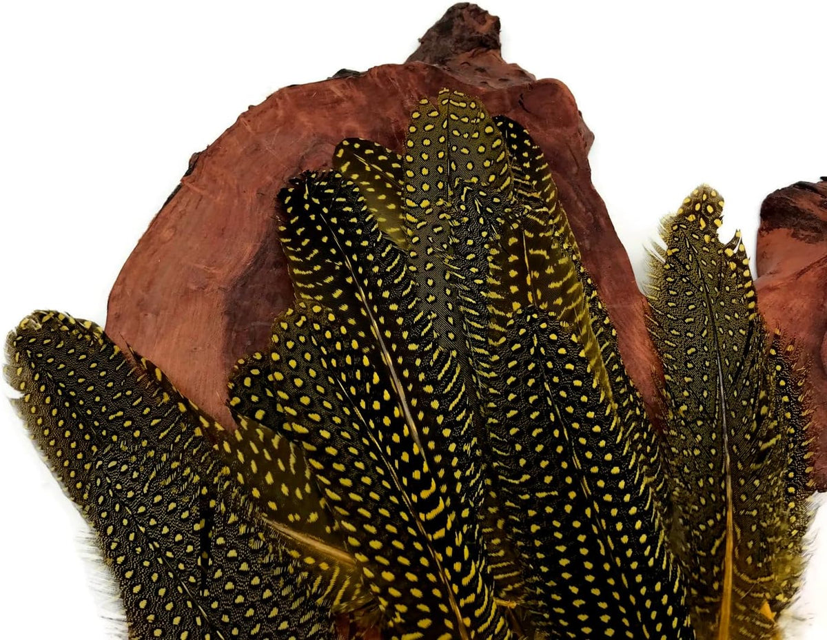10 Pieces - Dyed Yellow Polka Dot Guinea Fowl Wing Quill Feathers