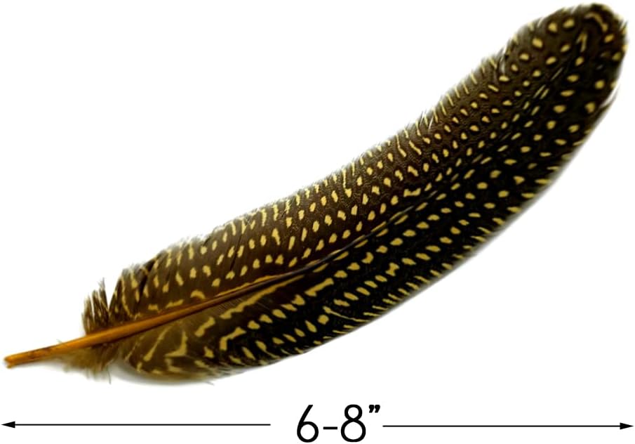 1/8 lb. Yellow Polka Dot Guinea Fowl Wing Quills Wholesale Feathers (Bulk)