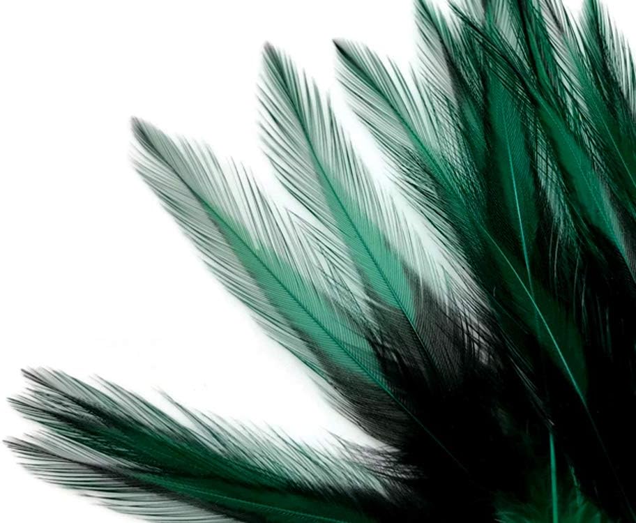 10 Pieces - Peacock Green Dyed BLW Laced Short Rooster Cape Whiting Farms Feathers