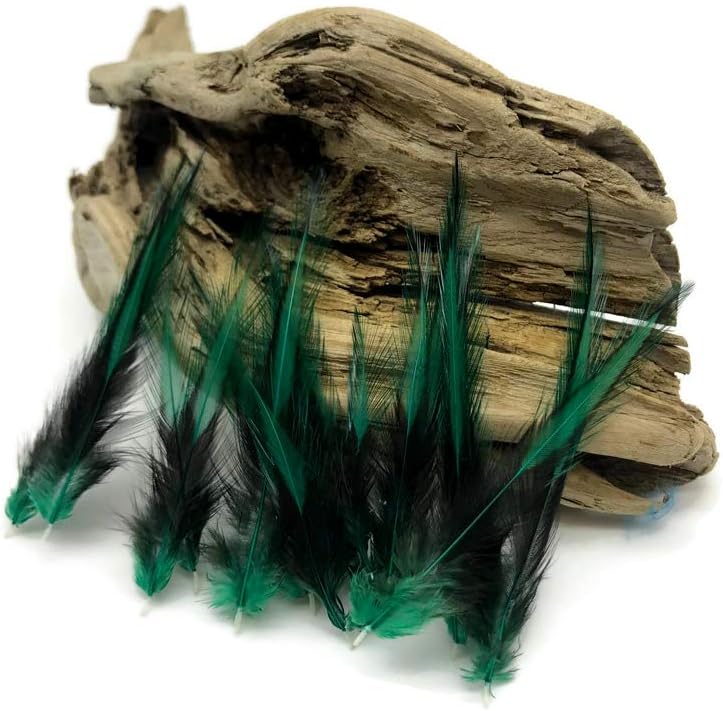 10 Pieces - Peacock Green Dyed BLW Laced Long Rooster Cape Whiting Farms Feathers