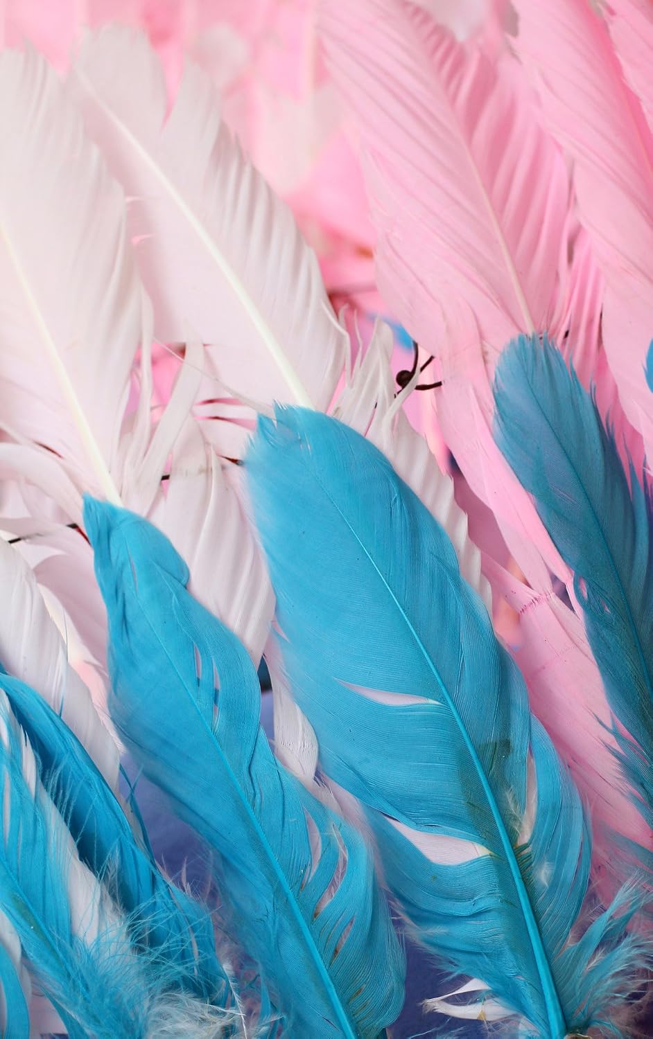 1 Yard - Turquoise Blue Goose Pallet Parried Dyed Feather Trim