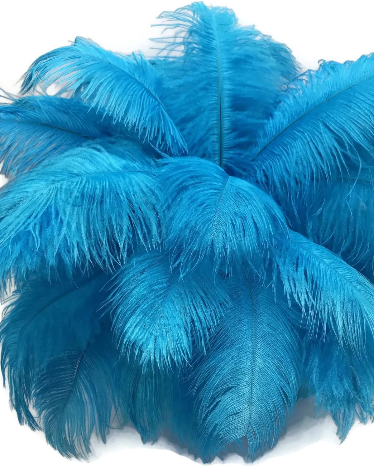 100 Pieces - 6-8" Turquoise Blue Ostrich Drab Wholesale Feathers (Bulk)