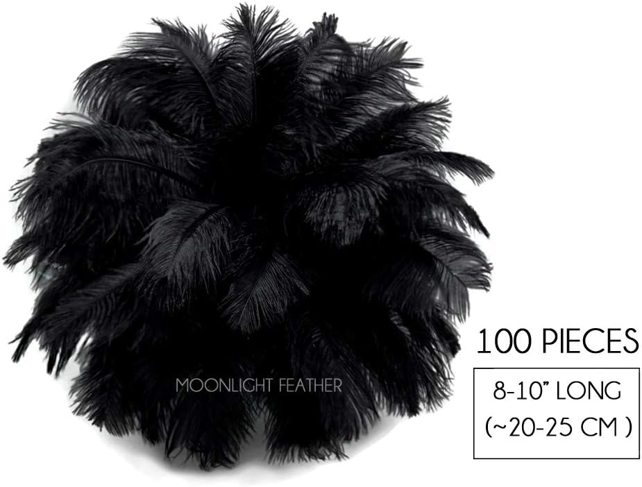 100 Pieces - 8-10" Black Ostrich Dyed Drab Body Wholesale Feathers (Bulk)
