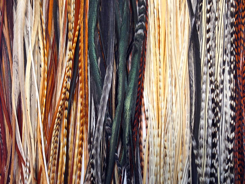 50 Pieces - Natural Thick Long Rooster Saddle Whiting Farm Hair Extension Wholesale Feathers (Bulk)