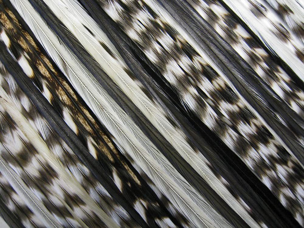 50 Pieces - Natural Thick Long Rooster Saddle Whiting Farm Hair Extension Wholesale Feathers (Bulk)