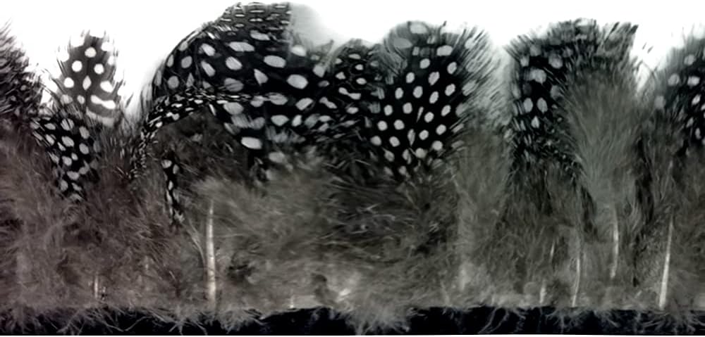 1 Yard - Natural Guinea Hen Polka Dot Plumage Feather Trim