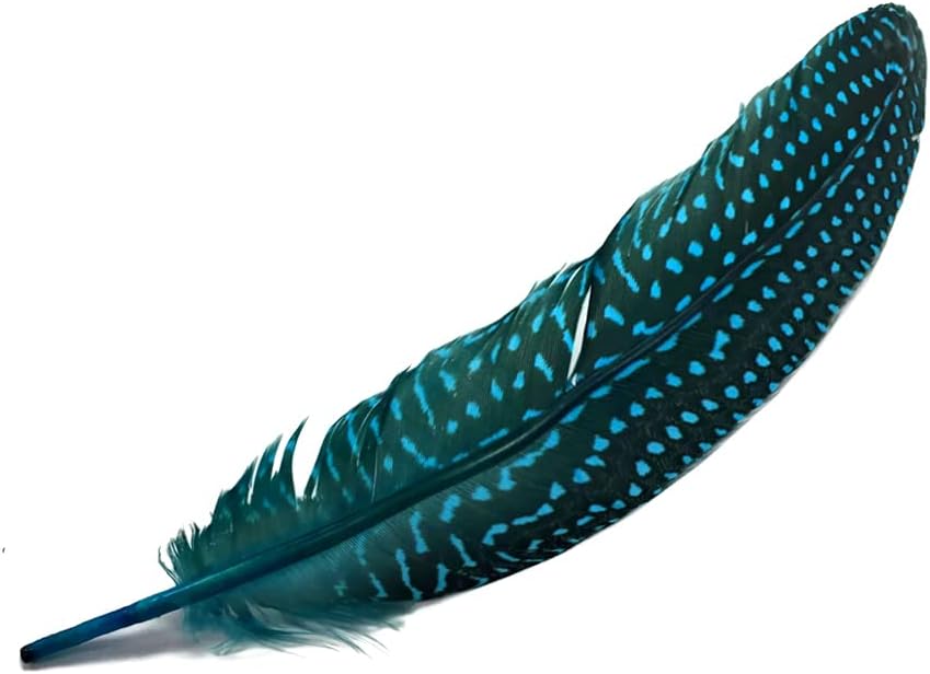 1/8 lb. Turquoise Blue Polka Dot Guinea Fowl Wing Quills Wholesale Feathers (Bulk)