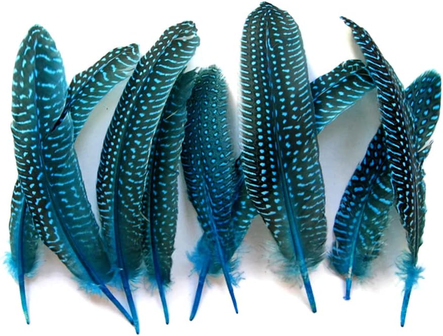 1/8 lb. Turquoise Blue Polka Dot Guinea Fowl Wing Quills Wholesale Feathers (Bulk)