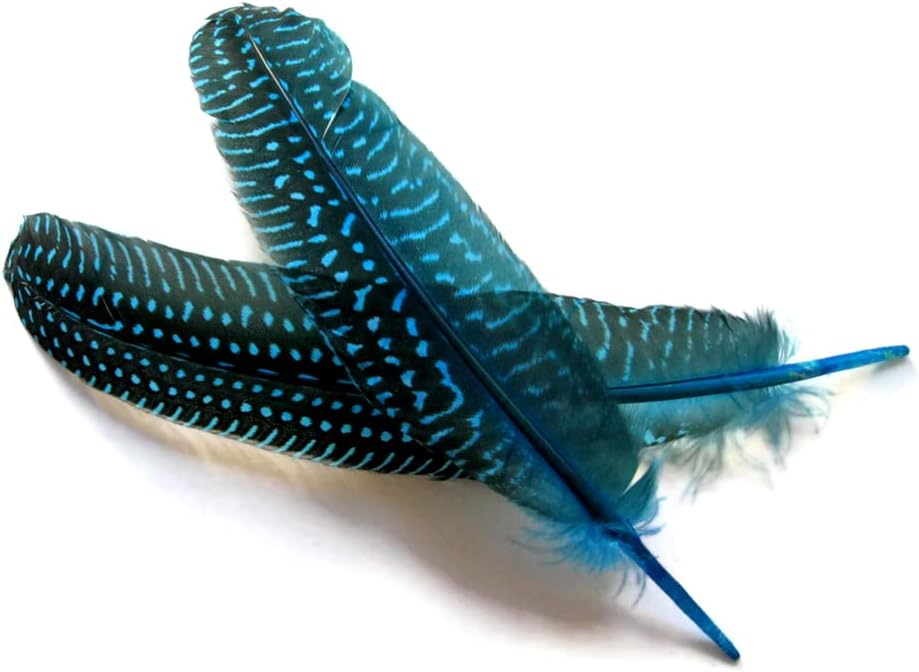 1/8 lb. Turquoise Blue Polka Dot Guinea Fowl Wing Quills Wholesale Feathers (Bulk)