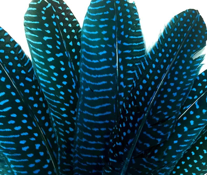 1/8 lb. Turquoise Blue Polka Dot Guinea Fowl Wing Quills Wholesale Feathers (Bulk)