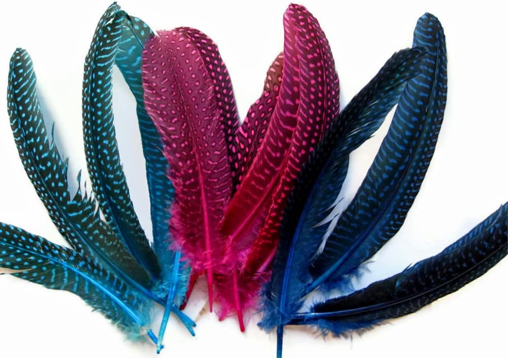 1/8 lb. Turquoise Blue Polka Dot Guinea Fowl Wing Quills Wholesale Feathers (Bulk)