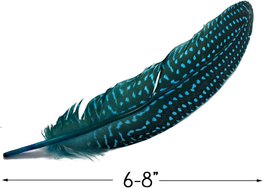 1/8 lb. Turquoise Blue Polka Dot Guinea Fowl Wing Quills Wholesale Feathers (Bulk)