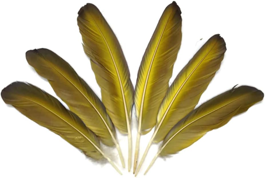 4 Pieces - Iridescent Blue and Yellow Catalina Macaw Wing Quill Feathers -Rare-