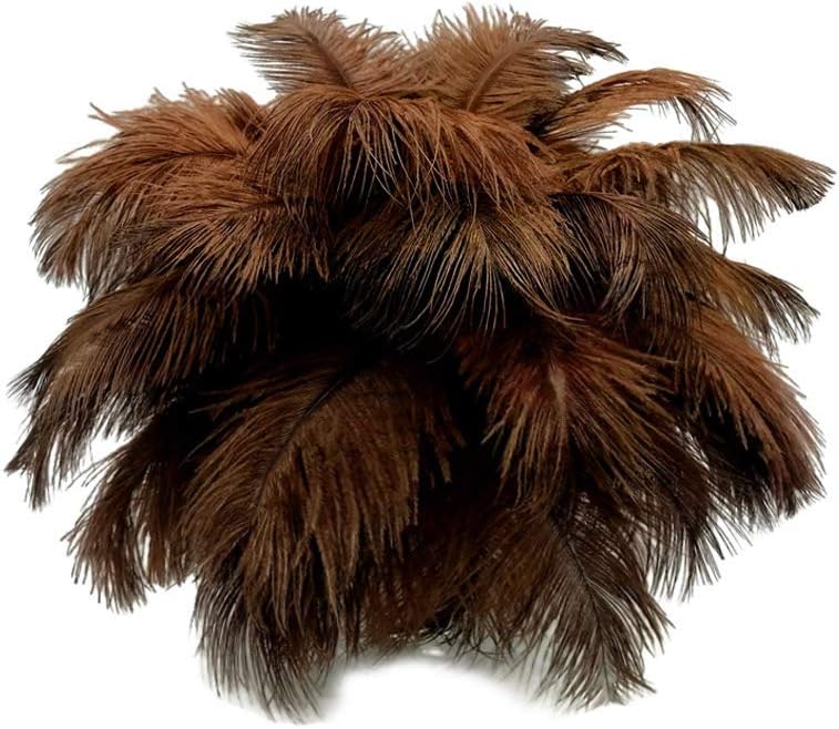 100 Pieces - 6-8" Brown Wholesale Ostrich Drabs Feathers (Bulk)