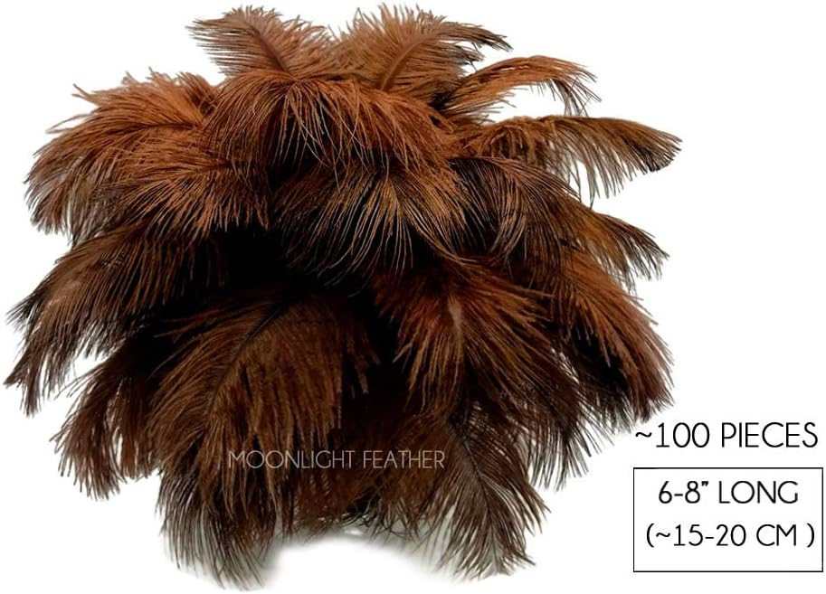 100 Pieces - 6-8" Brown Wholesale Ostrich Drabs Feathers (Bulk)