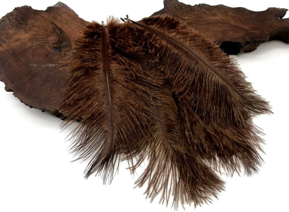 100 Pieces - 6-8" Brown Wholesale Ostrich Drabs Feathers (Bulk)