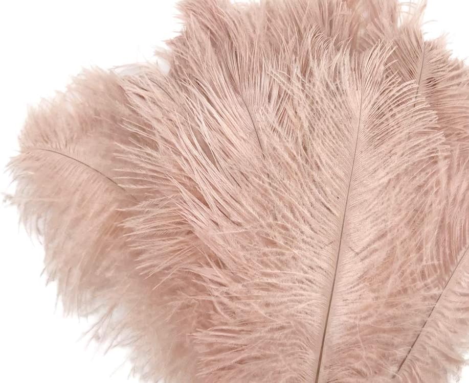 100 Pieces - 6-8" Champagne Wholesale Ostrich Body Drabs Feathers (Bulk)