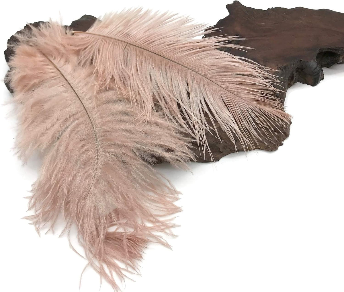 100 Pieces - 6-8" Champagne Wholesale Ostrich Body Drabs Feathers (Bulk)