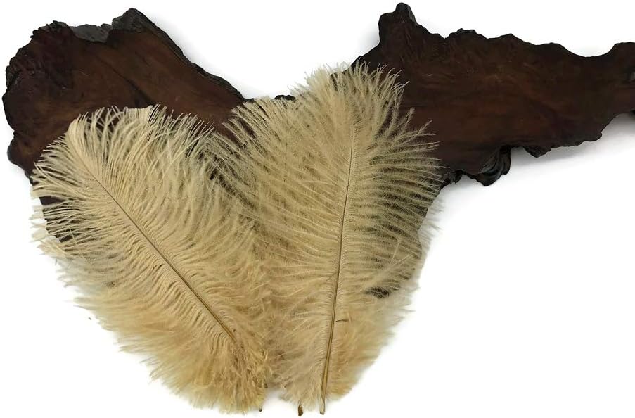 100 Pieces - 6-8" Old Gold Ostrich Drabs Body Wholesale Feathers (Bulk)