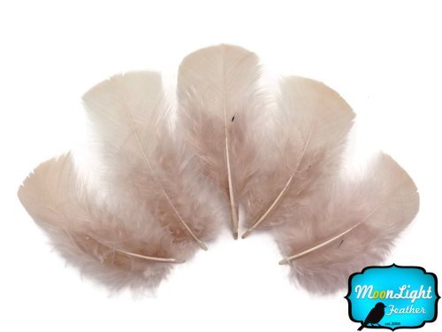 1 Pack - Nude Dyed Turkey T-Base triangle Body Plumage Feathers 0.50 Oz.