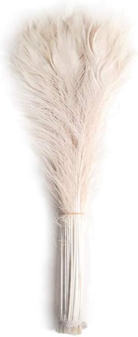 50 Pieces - 30-35" Bleached Ivory Peacock Tail Eye Wholesale Feathers (Bulk)