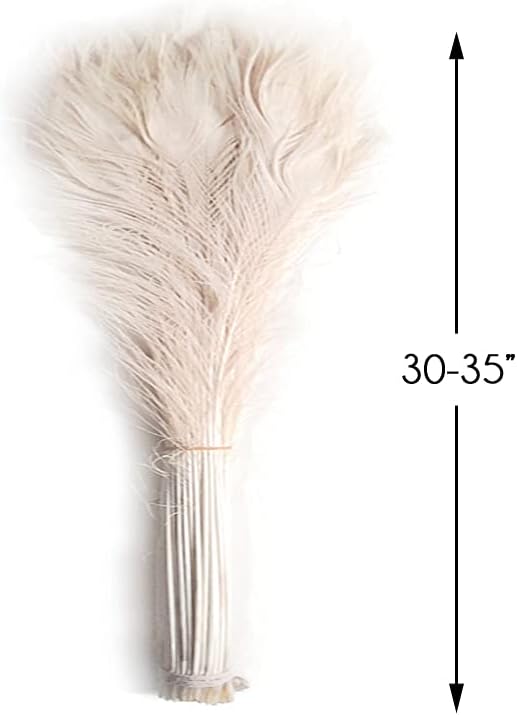 50 Pieces - 30-35" Bleached Ivory Peacock Tail Eye Wholesale Feathers (Bulk)