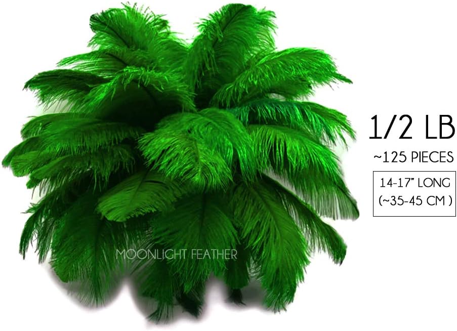 1/2 Lb. - 19-24" Kelly Green Ostrich Extra Long Drab Wholesale Feathers (Bulk)