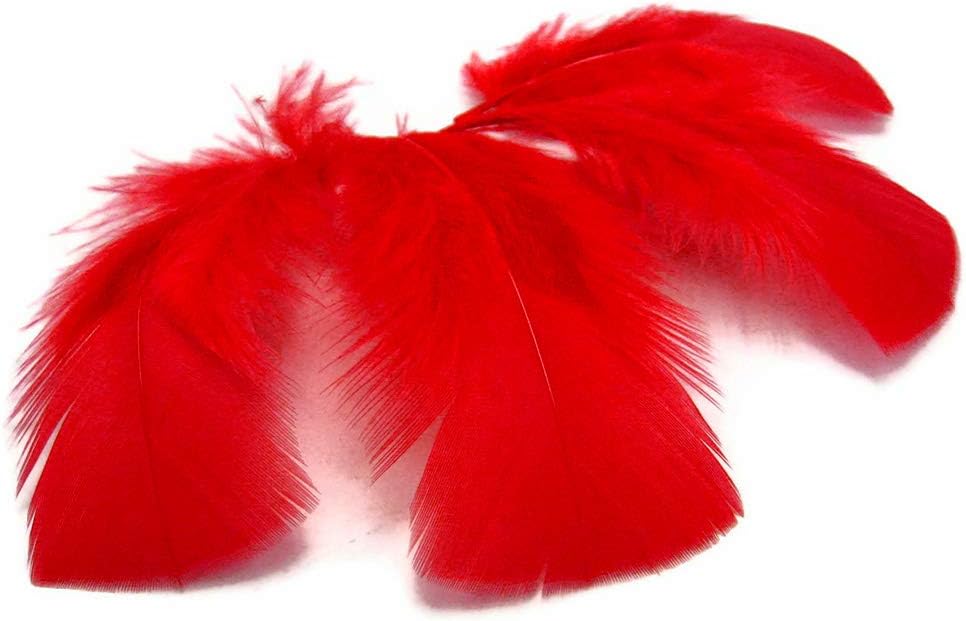 1/4 lbs. - Red Turkey T-Base Wholesale Body Plumage Feathers (Bulk)