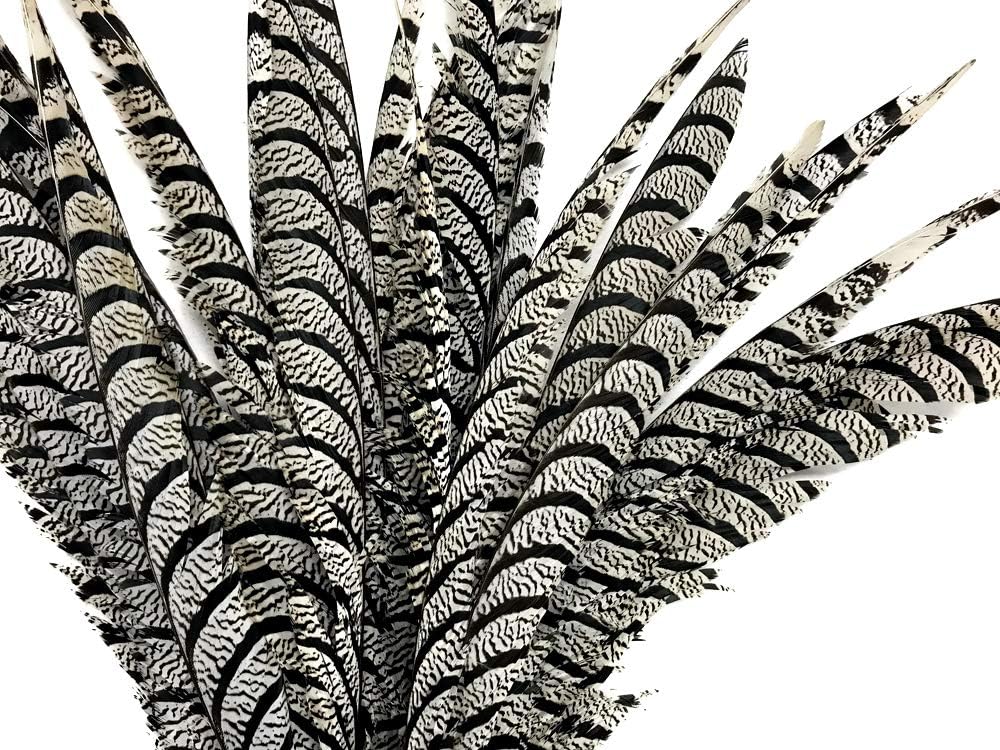 10 Pieces - 30-35" Natural Zebra Black And White Lady Amherst Pheasant Tail Super Long Feathers