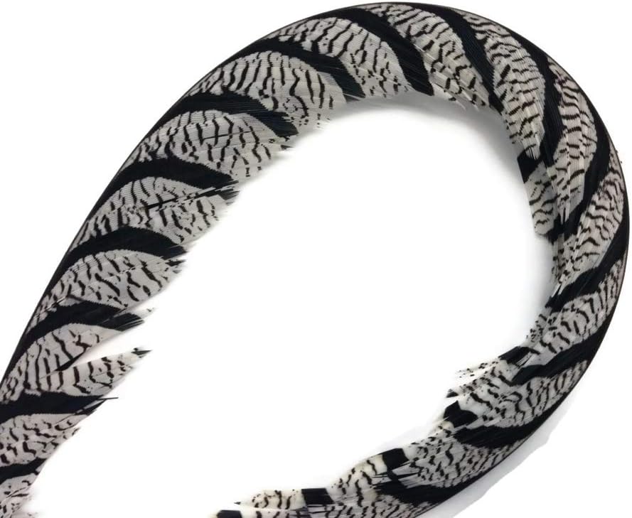 10 Pieces - 30-35" Natural Zebra Black And White Lady Amherst Pheasant Tail Super Long Feathers