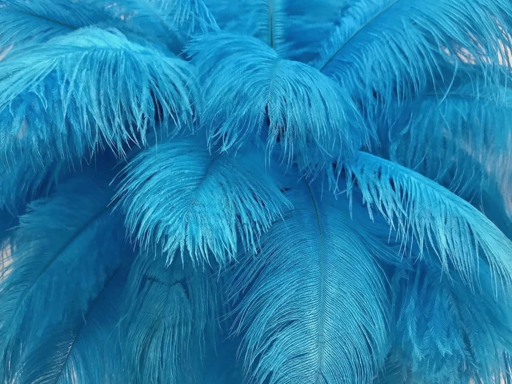 1/2 lb. - 14-17" Turquoise Blue Ostrich Large Body Drab Wholesale Feathers (Bulk