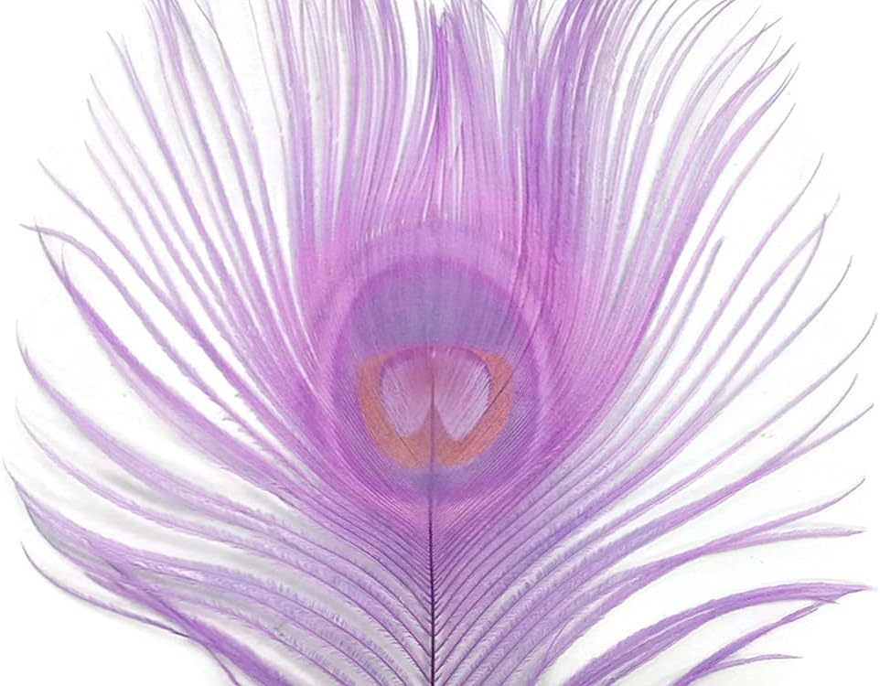 5 Pieces – Lavender Bleached & Dyed Peacock Tail Eye Feathers 10-12” Long