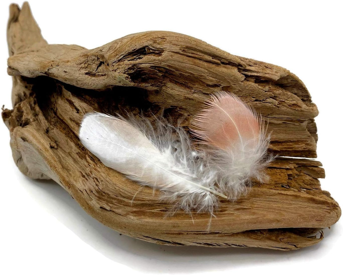 6 Pieces - Small White & Peach Major Mitchell Leadbeater's Cockatoo Plumage Feathers