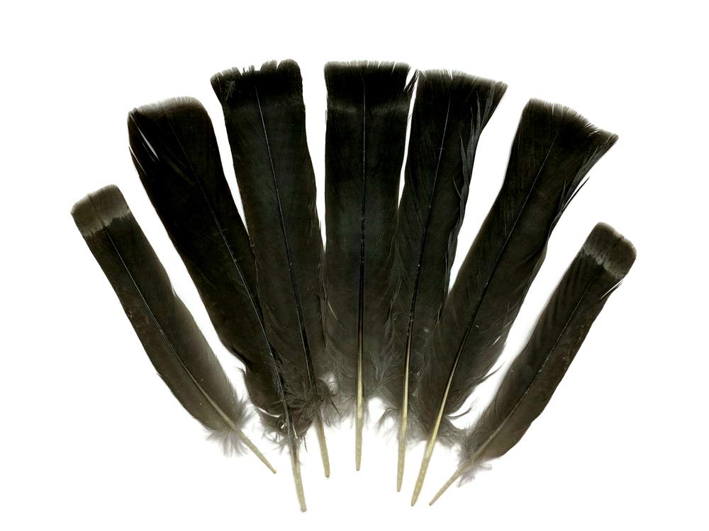5 Pieces - Gray and Black Ruffed Grouse Tail Feathers