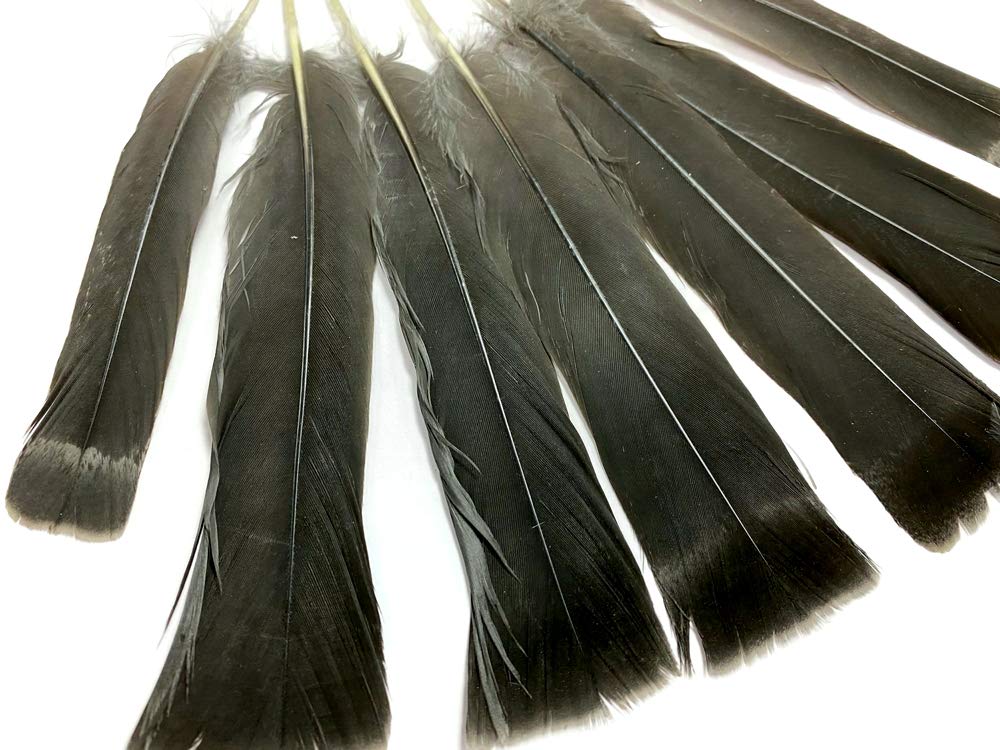 5 Pieces - Gray and Black Ruffed Grouse Tail Feathers