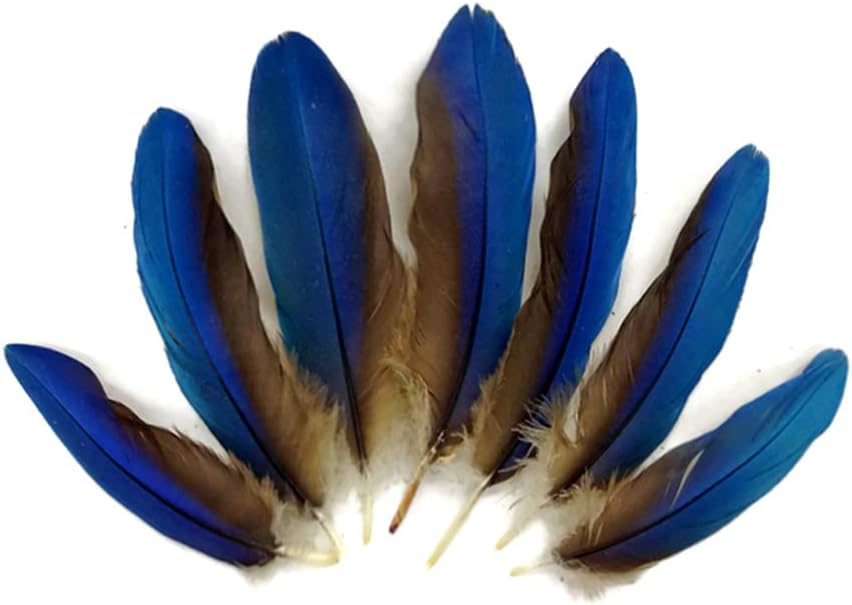 4 Pieces - Blue Greenwing Macaw Small Wing Feathers - Rare -