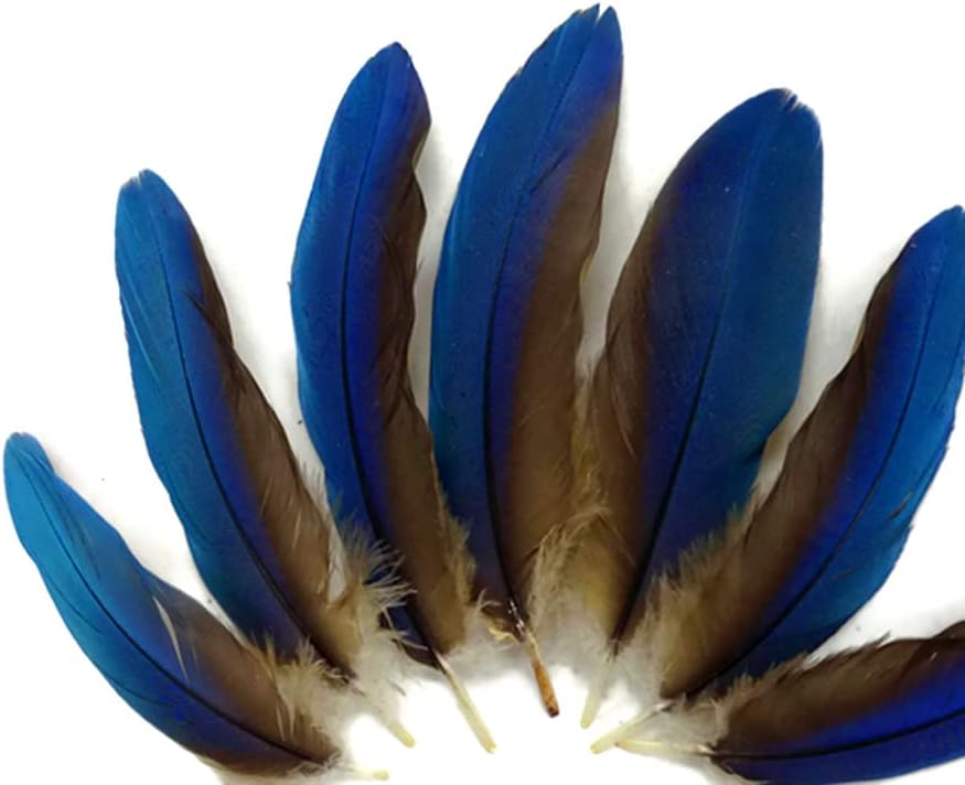 4 Pieces - Blue Greenwing Macaw Small Wing Feathers - Rare -