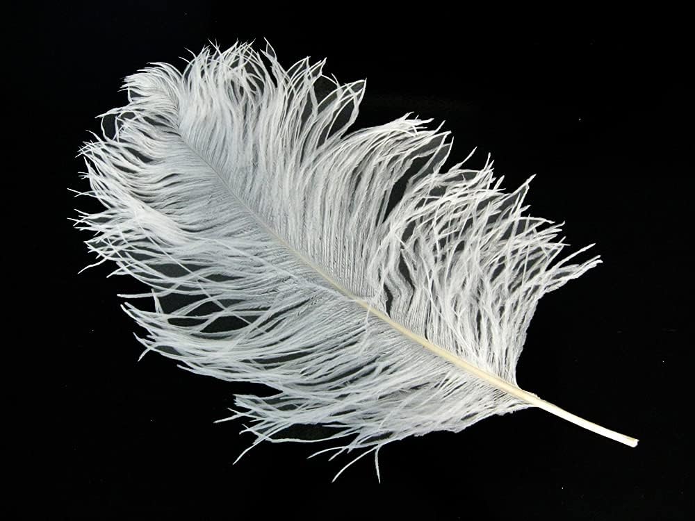 10 Pieces -  12-16" Snow White Dyed Ostrich Tail Fancy Feathers