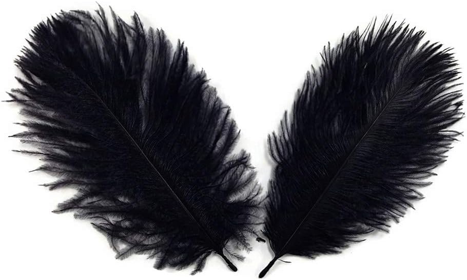 1 Pack - Black Ostrich Small Confetti Feathers 0.3 Oz