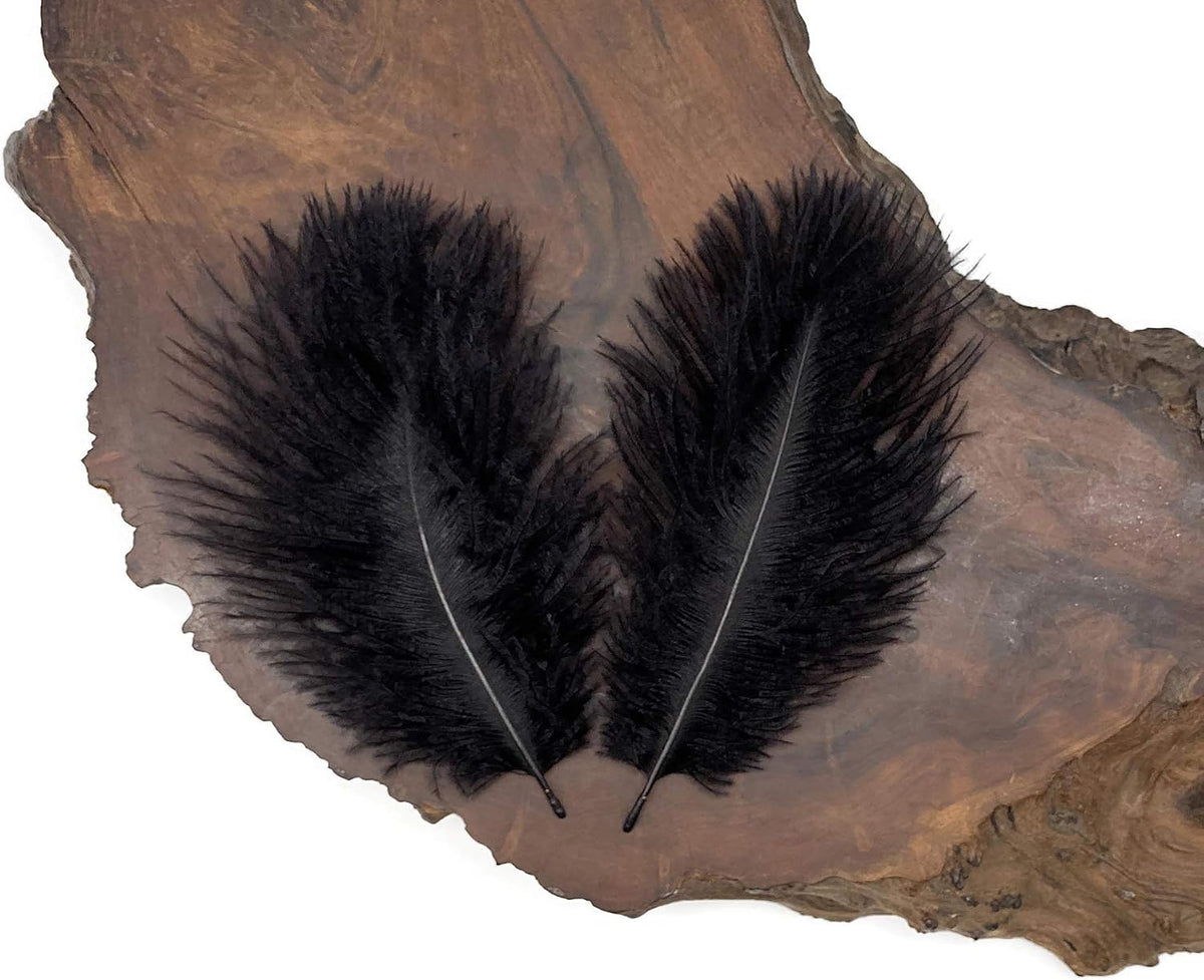 Wholesale Pack - Black Ostrich Small Confetti Feathers (Bulk)