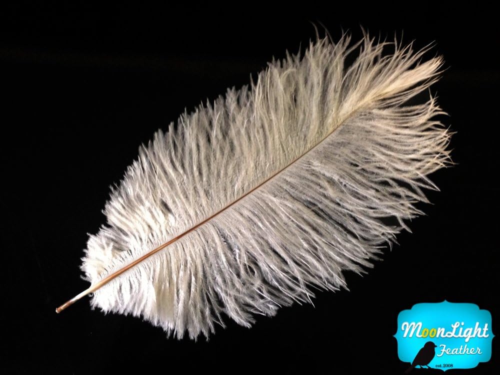 100 Pieces - 8-10" Bleached Off White Ostrich Drab Body Wholesale Feathers (Bulk)